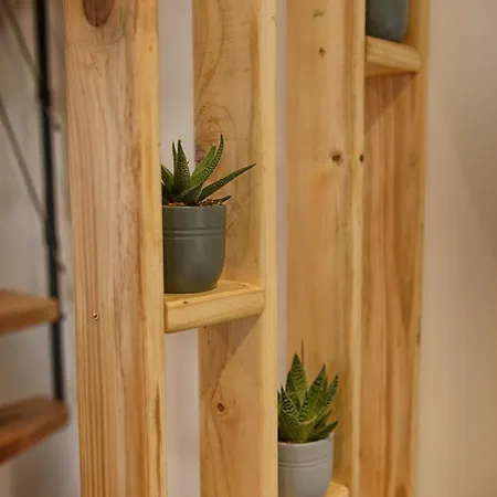 Fleur Des Vents
